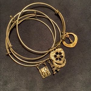 Charm bracelets